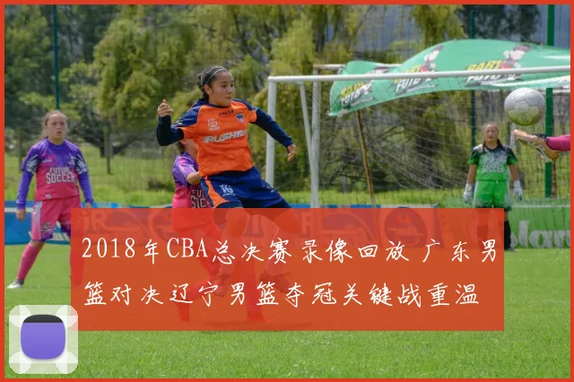 2018年CBA总决赛录像回放 广东男篮对决辽宁男篮夺冠关键战重温